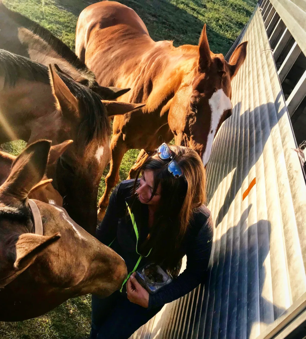 Cory H. Soltau, DVM - Equine Veterinarian